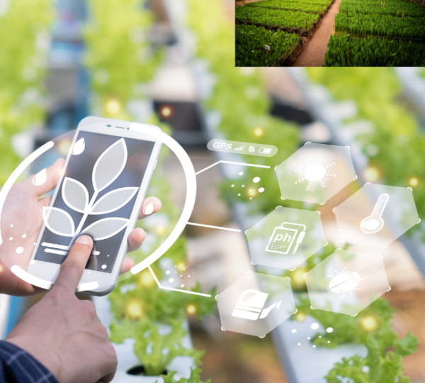 Smart Greenhouse Technology